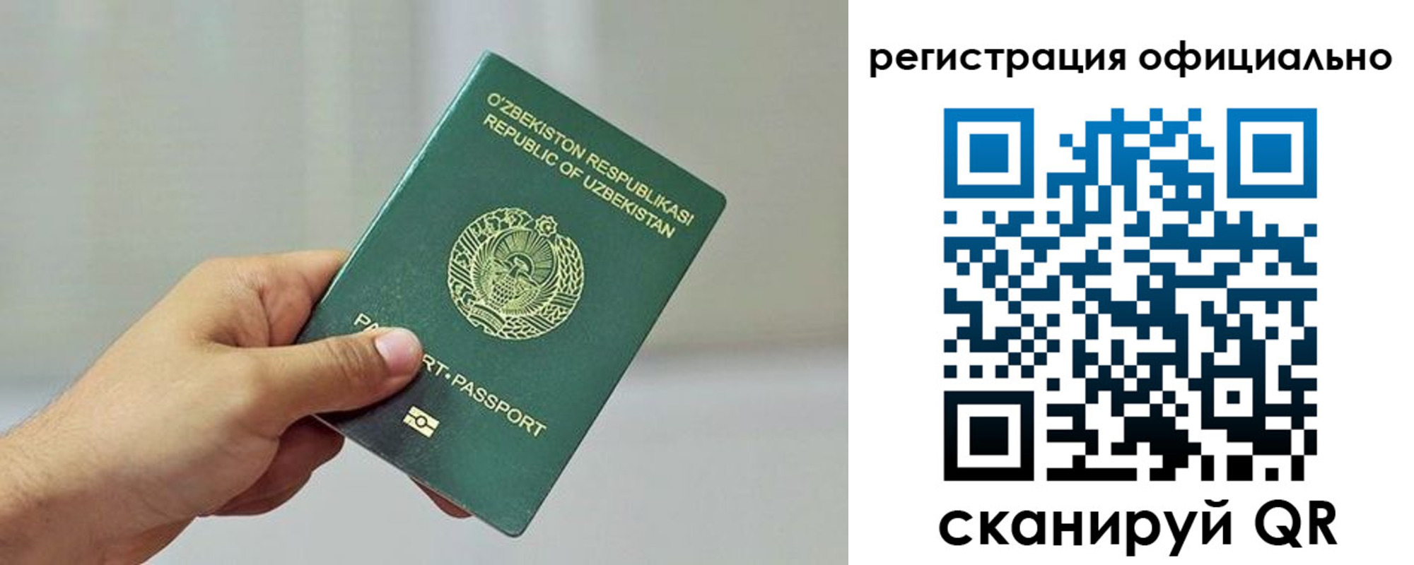 прописка в квартире в Щиграх