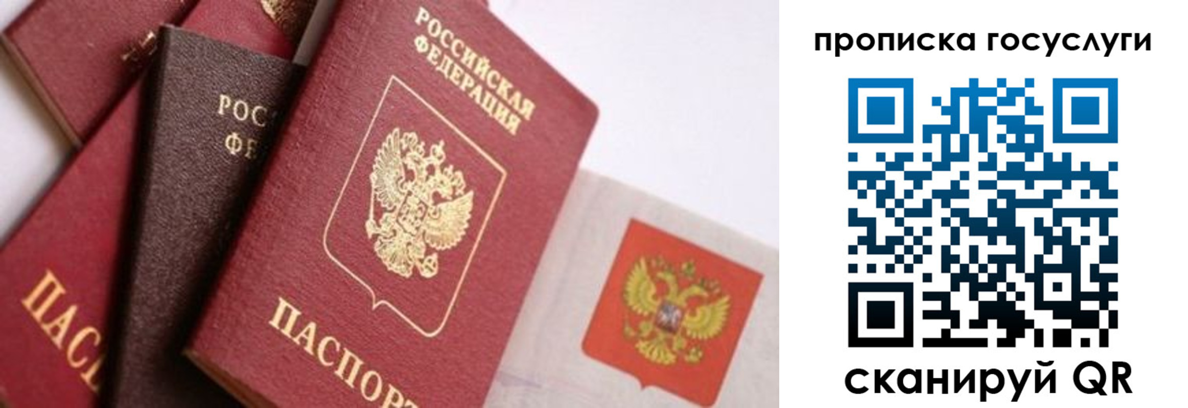 прописка законно в Щиграх